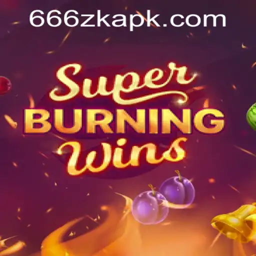 An In-Depth Look at SuperBurningWins and the Unique 666ZK APP Login